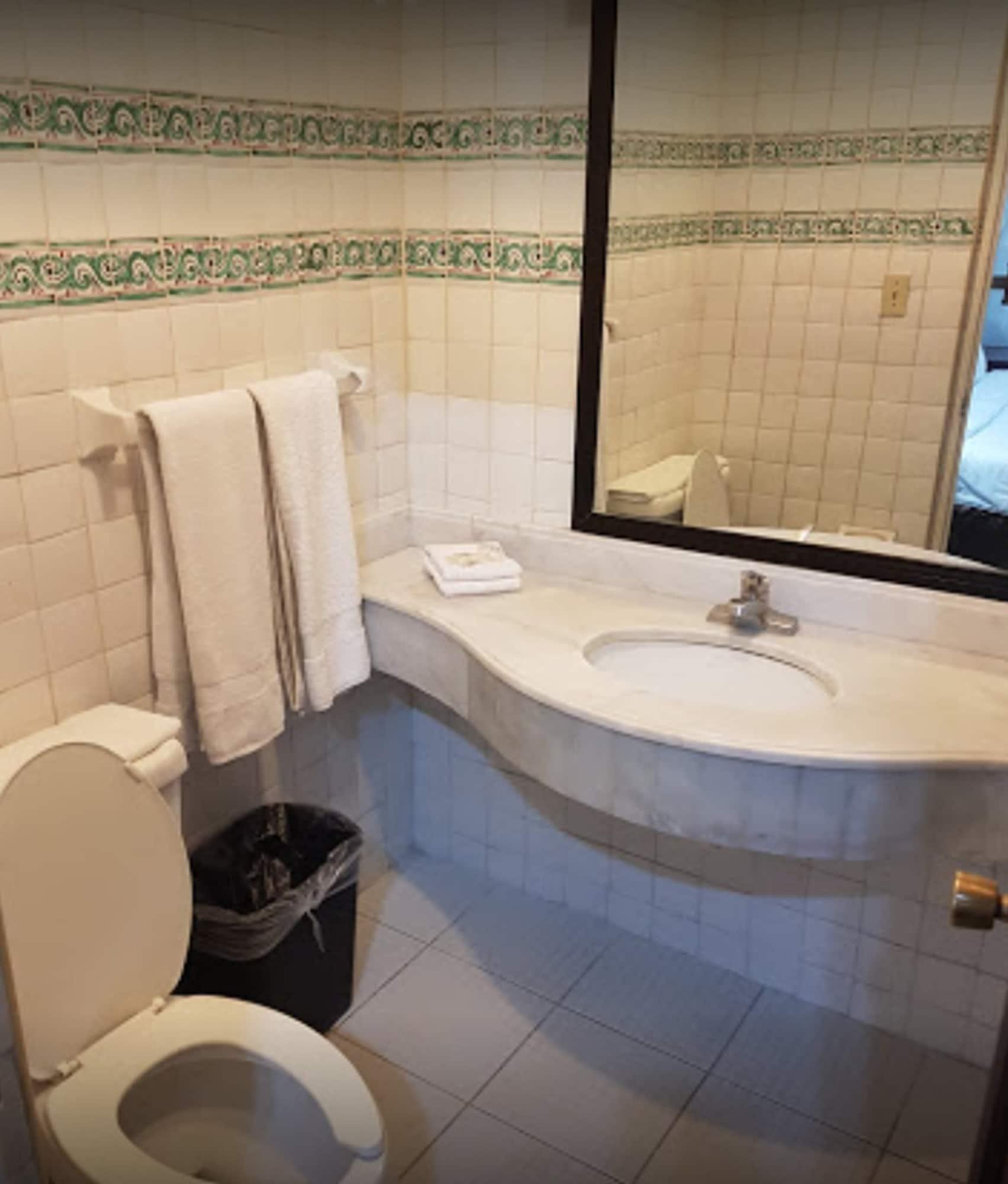 Hotel Urdinola Saltillo Extérieur photo